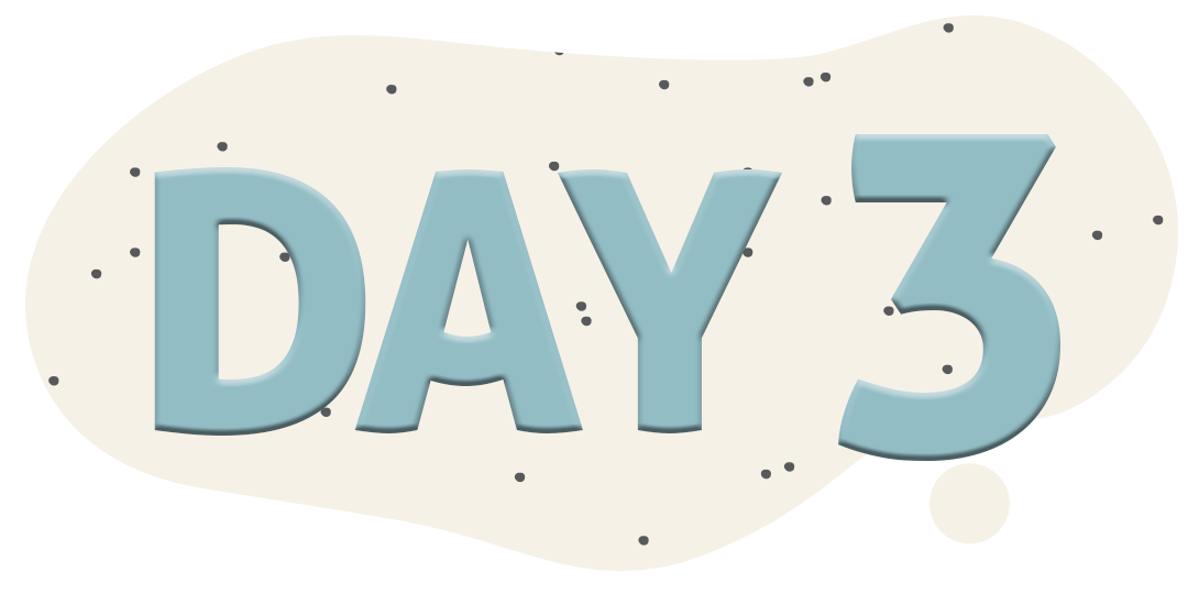 day3