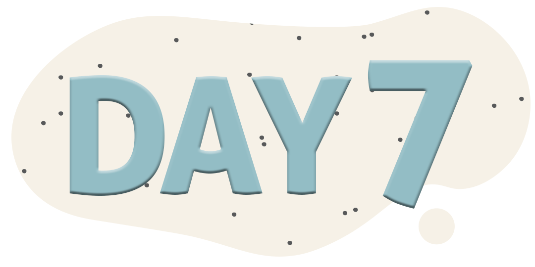 day7