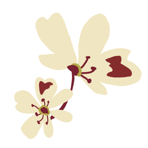 お花のイラスト